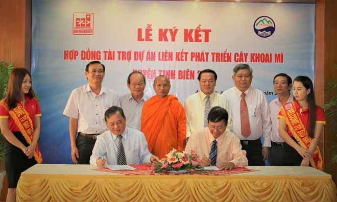 Phủ xanh trên vùng đất khó - ảnh 1