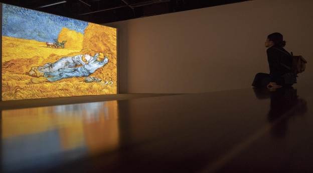 Vừa khai mạc, triển lãm Van Gogh đón hơn 10.000 lượt khách tham quan - ảnh 7