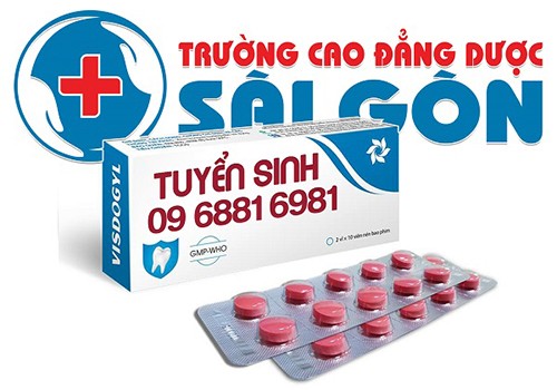 Điểm chuẩn tuyển sinh xét tuyển Cao đẳng Dược Sài Gòn năm 2019 - ảnh 1