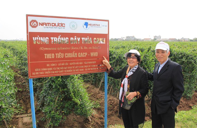 Liên tiếp chết oan vì dùng sản phẩm trị tiểu đường trôi nổi - ảnh 2