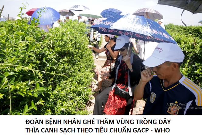 Liên tiếp chết oan vì dùng sản phẩm trị tiểu đường trôi nổi - ảnh 4
