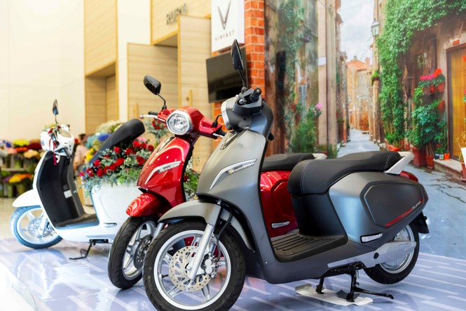 Khai mạc triển lãm hoa quốc tế Việt Nam 2019 – Vietnam International Flora Expo - ảnh 3