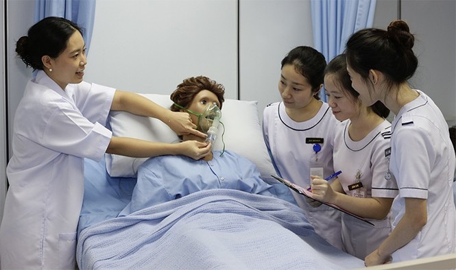 Miễn phí du học nghề tại CHLB Đức. - ảnh 2