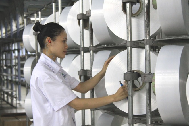 Nỗ lực không ngừng nghỉ để vận hành trở lại NMXS Đình Vũ - ảnh 1