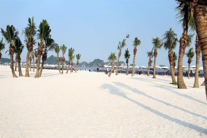 Cẩm nang lễ hội không thể thiếu trong mùa Carnaval Hạ Long - ảnh 1