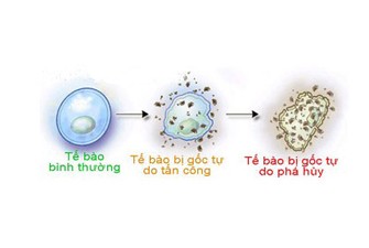 Bạn có biết: Khối u bướu hình thành qua những bước nào? - ảnh 2