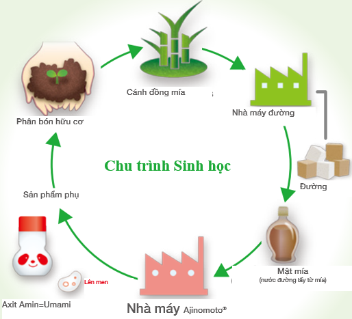 Cách doanh nghiệp Nhật Bản bảo vệ 'nguồn vốn tự nhiên' - ảnh 1