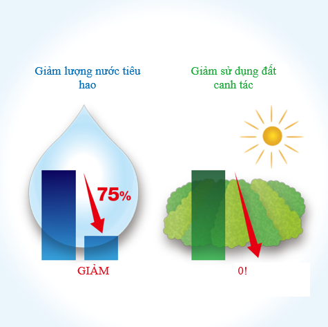 Cách doanh nghiệp Nhật Bản bảo vệ 'nguồn vốn tự nhiên' - ảnh 2