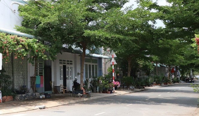 Nhân viên Kim Oanh Group được mua nhà ưu đãi tại dự án RichHome 3 - ảnh 1