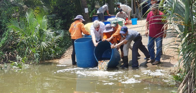 Thả 1 triệu con cá giống xuống sông Cần Giuộc - ảnh 1