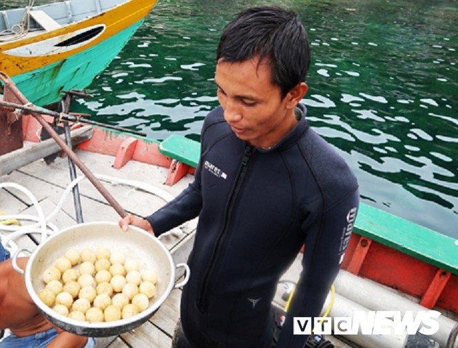 Kinh hãi những cuộc tàn sát rùa biển ở Cù Lao Chàm - ảnh 4