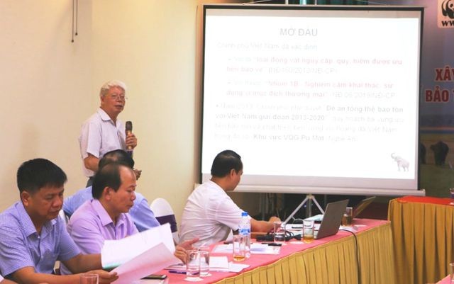 Nghệ An chi gần 19 tỷ đồng bảo tồn khẩn cấp đàn voi - ảnh 1