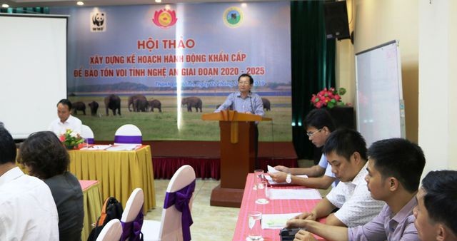 Nghệ An chi gần 19 tỷ đồng bảo tồn khẩn cấp đàn voi - ảnh 2