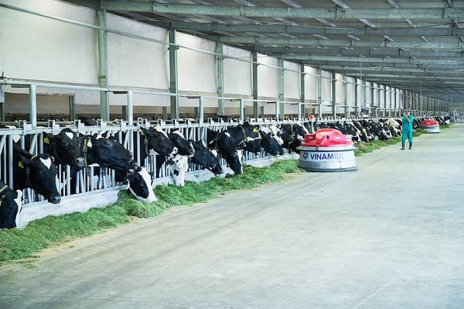 Vinamilk 'phủ sóng' nhiều các bảng xếp hạng uy tín trong và ngoài nước - ảnh 2