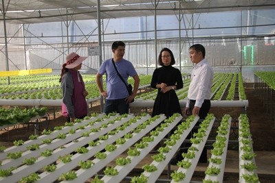 Củng cố nền tảng vững chắc trước thềm cổ phần hóa - ảnh 2