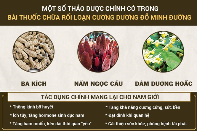 Đầu tư vào dược liệu sạch, Đỗ Minh Đường chữa rối loạn cương dương hiệu quả - ảnh 2