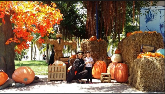 Choáng với “siêu bảo tàng” bí ngô của Vinpearl trong mùa Halloween - ảnh 1