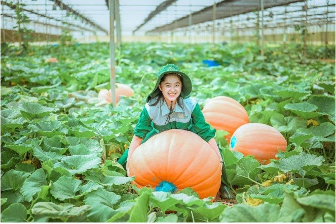 Choáng với “siêu bảo tàng” bí ngô của Vinpearl trong mùa Halloween - ảnh 2