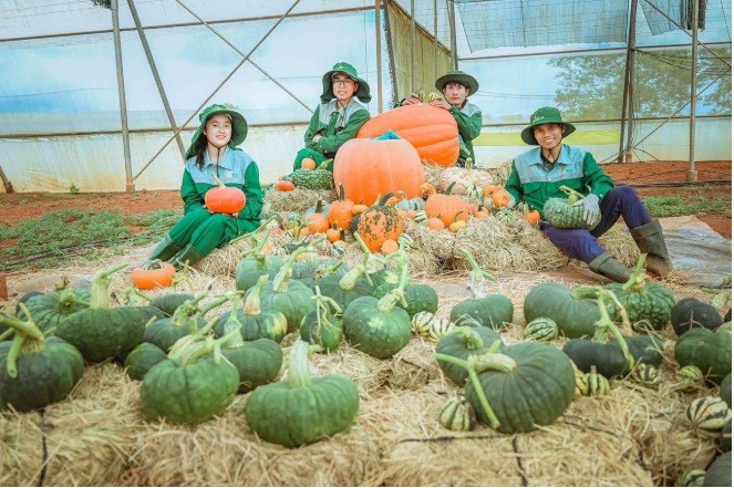 Choáng với “siêu bảo tàng” bí ngô của Vinpearl trong mùa Halloween - ảnh 3