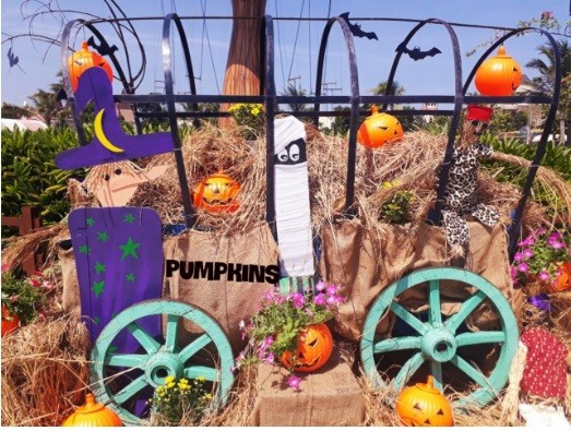Choáng với “siêu bảo tàng” bí ngô của Vinpearl trong mùa Halloween - ảnh 6