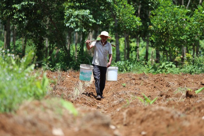 200 hộ dân tại An Khê, Quảng Trị vui mừng đón nước sạch về - ảnh 2