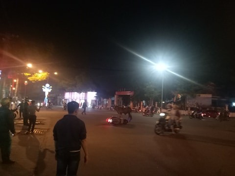 Bò ‘điên’ húc nhiều người bị thương gây náo loạn đường phố - ảnh 1