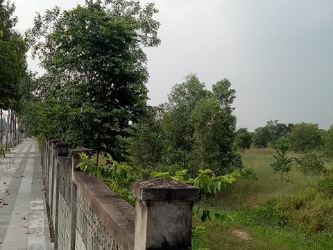 Vụ chuyển nhượng 145 ha đất công: Sân Golf hoạt động trước ngày giao đất? - ảnh 6