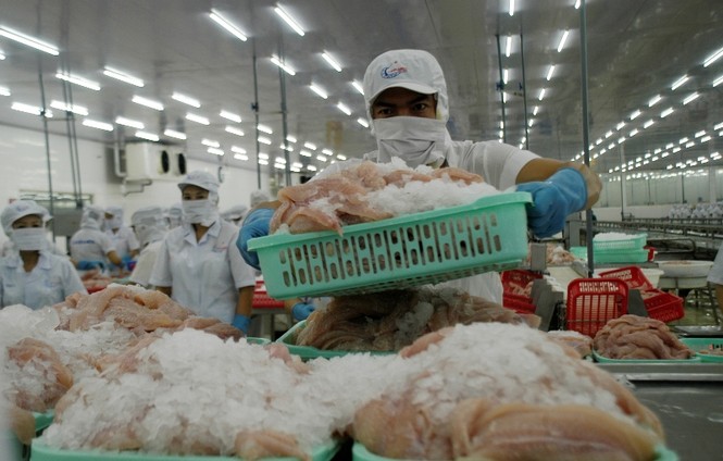 Mỹ trở lại dẫn đầu nhập khẩu cá tra Việt Nam - ảnh 1