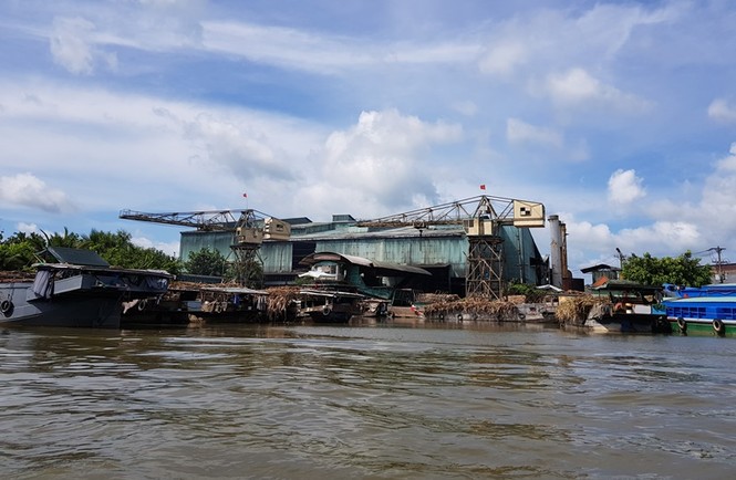 Xác định 'thủ phạm' khiến cả khúc sông Hậu Giang chuyển màu đen - ảnh 2