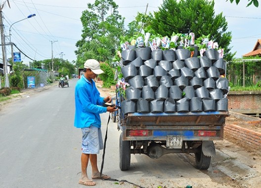 “Thủ phủ” hoa Sa Đéc cung cấp 3 triệu giỏ hoa Tết - ảnh 5