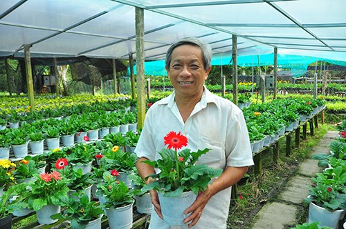 “Thủ phủ” hoa Sa Đéc cung cấp 3 triệu giỏ hoa Tết - ảnh 1