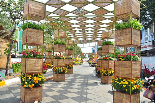 80 ngàn chậu hoa tươi kết đường hoa Cần Thơ - ảnh 8