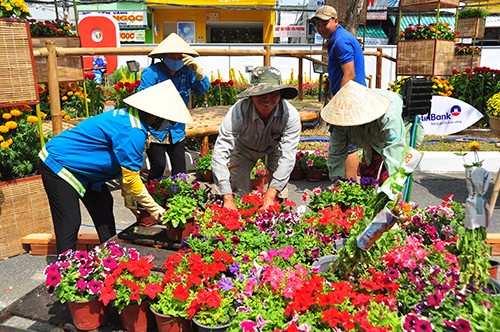 80 ngàn chậu hoa tươi kết đường hoa Cần Thơ - ảnh 7