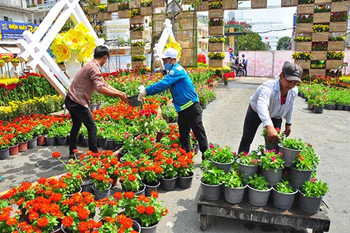 80 ngàn chậu hoa tươi kết đường hoa Cần Thơ - ảnh 10