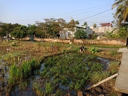 Khẩn cấp lập tổ công tác đặc biệt để xử lý sự cố tràn dầu - ảnh 1