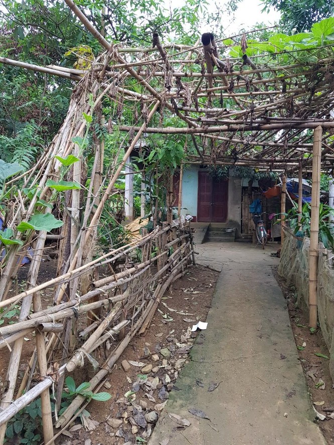 6 cô trò trưởng tiểu học bị đâm: Nạn nhân tử vong là hàng xóm của nghi phạm - ảnh 2