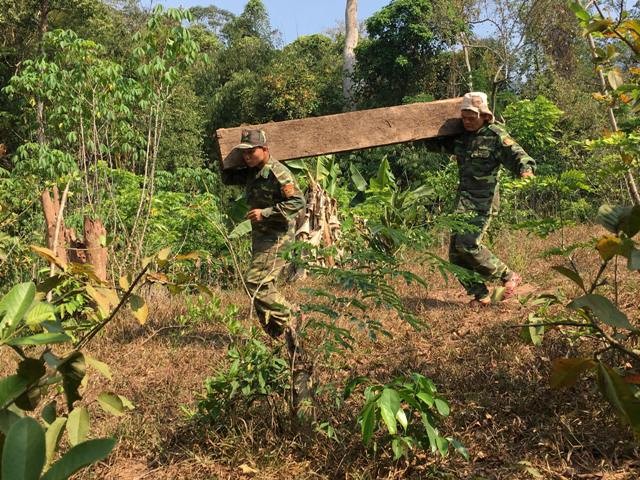 “Khai quật” 3 hầm gỗ mun quý chôn trong lõi VQG Phong Nha - Kẻ Bàng - ảnh 6
