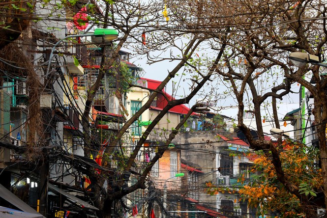 Hà Nội đẹp mơ màng, lãng mạn như phim vào mùa cây thay lá - ảnh 2