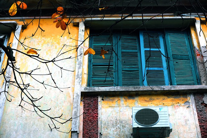 Hà Nội đẹp mơ màng, lãng mạn như phim vào mùa cây thay lá - ảnh 4