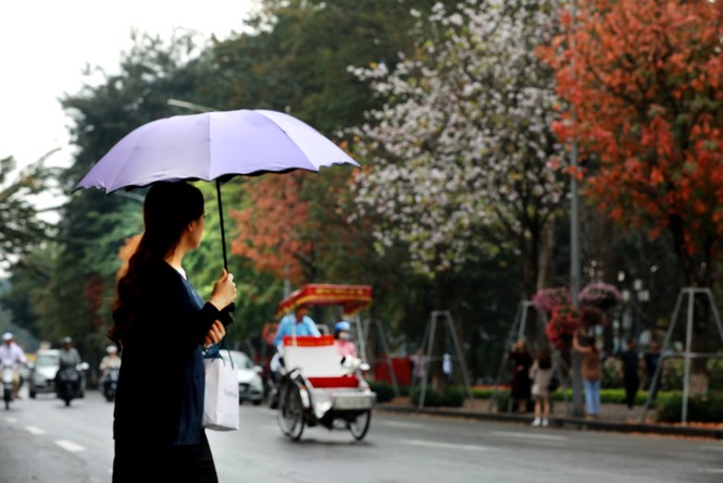 Hà Nội đẹp mơ màng, lãng mạn như phim vào mùa cây thay lá - ảnh 1