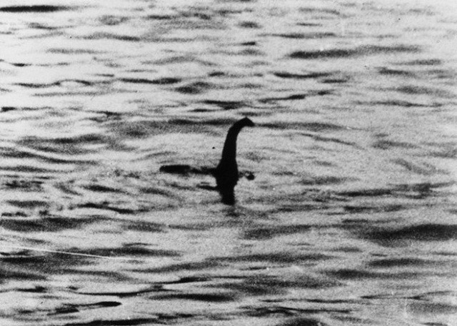 Phải ứng xử thế nào nếu bạn bắt được quái vật hồ Loch Ness? - ảnh 2