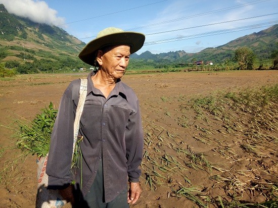 Sơn La: Quặn đau, sau lũ cánh đồng xanh chỉ toàn bùn và cát - ảnh 1