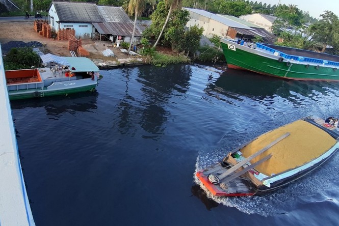 Vụ sông ô nhiễm ở Hậu Giang: Bộ Tài và nguyên Môi trường vào cuộc - ảnh 2