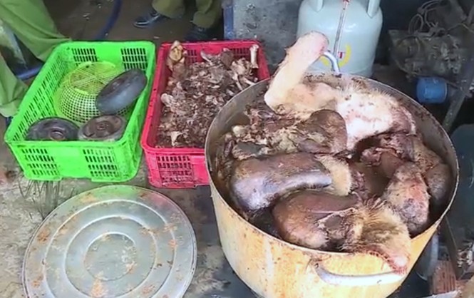 Hậu Giang: Phát hiện gần 1,5 tấn thịt lợn bốc mùi hôi thối - ảnh 2
