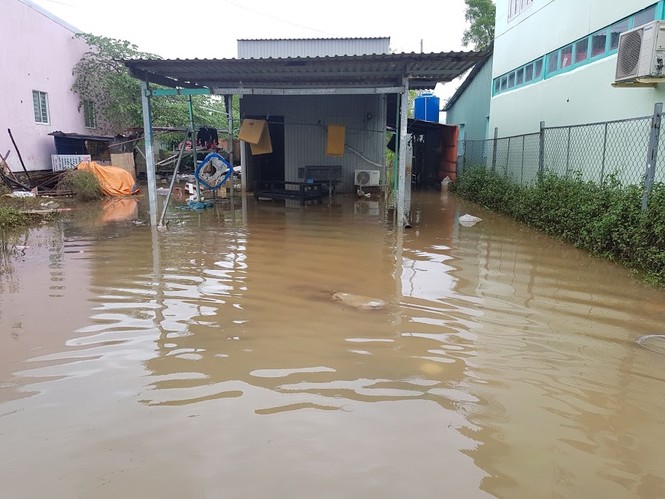 Toàn cảnh trận lũ lịch sử ở Phú Quốc - ảnh 8
