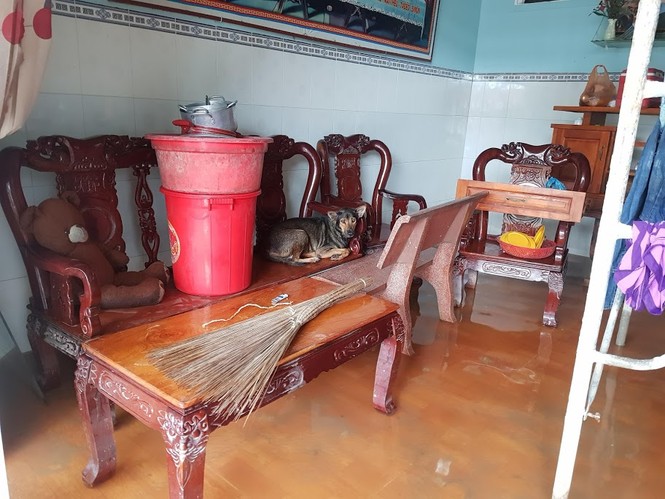 Toàn cảnh trận lũ lịch sử ở Phú Quốc - ảnh 11
