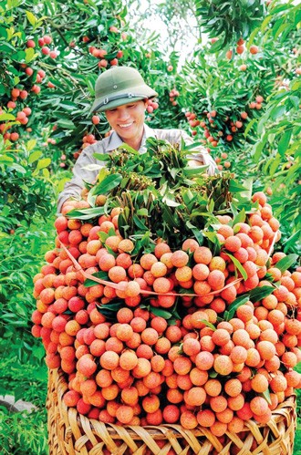 Khi Bộ trưởng, Chủ tịch tỉnh tiếp thị nông sản - ảnh 1