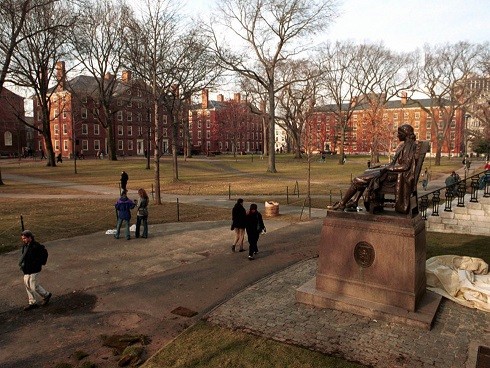 Sinh viên Harvard phản đối việc chặt cây sồi cổ trong sân trường
