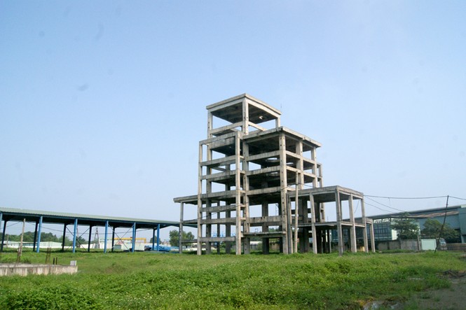 Cận cảnh