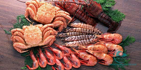 Những thực phẩm cực độc khi bị ho - ảnh 1
